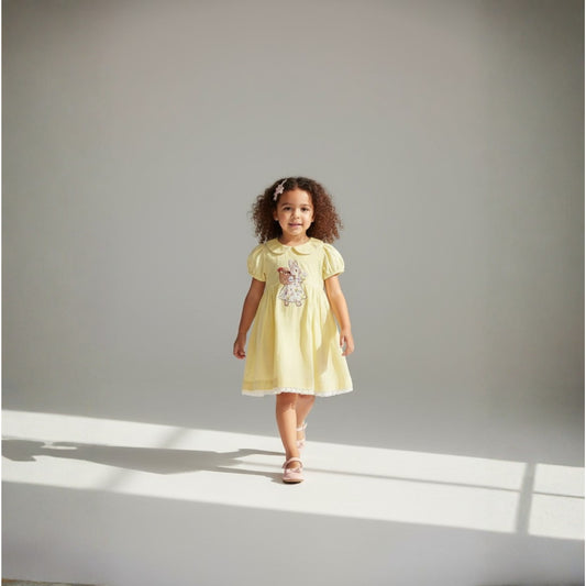 Charming Soft Yellow Dress