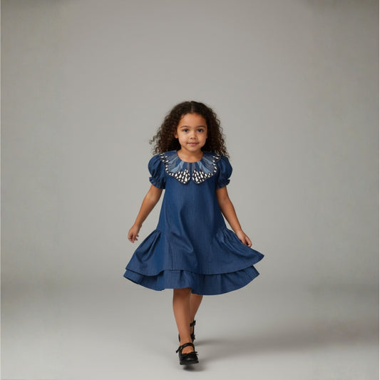 Flutter & Frill Dress