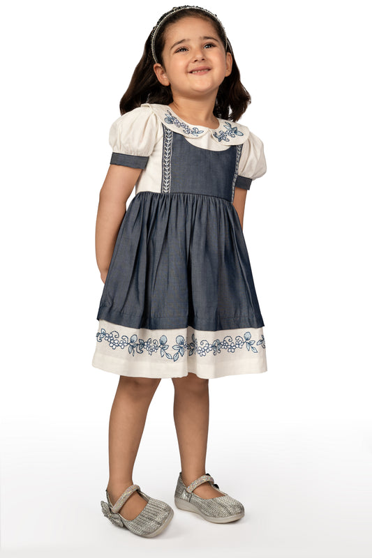 Denim Collar Wishper Denim Dress