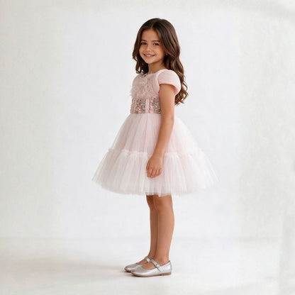 Rose plume dress