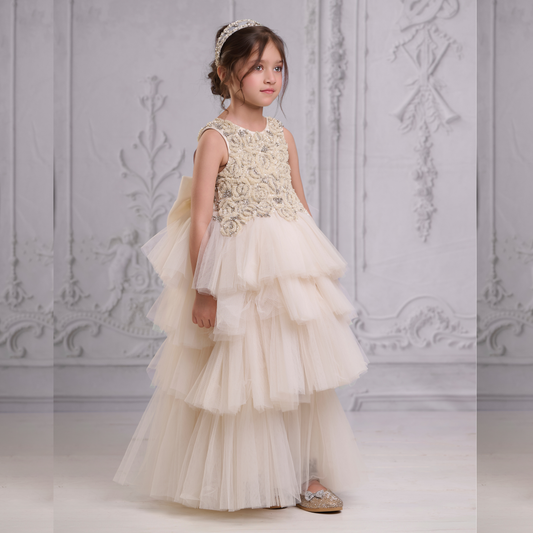 Aadia Tulle radiance Gown