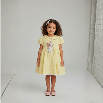 Charming Soft Yellow Dress