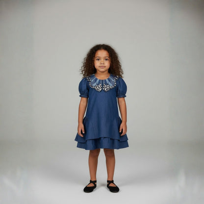 Flutter & Frill Dress