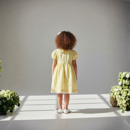 Charming Soft Yellow Dress